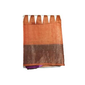Block Printed Zari Tussar Saree
